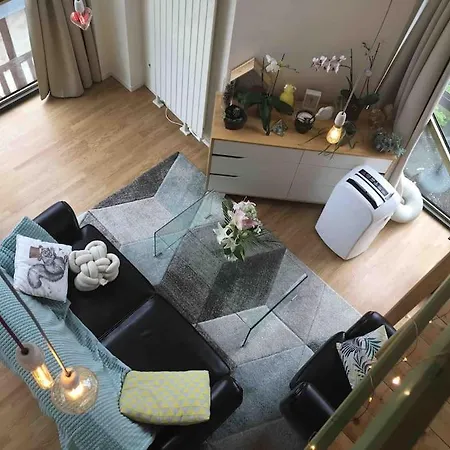 Mini Loft Lumineux : Centre Rive Droite/chu Apartment