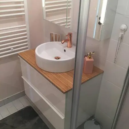 Apartment Mini Loft Lumineux : Centre Rive Droite/chu *